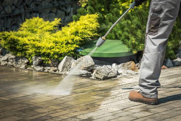Best Solar Panel Cleaning  in Lake Placid, NY